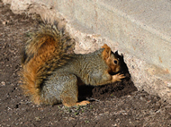 Digging for Groundwater