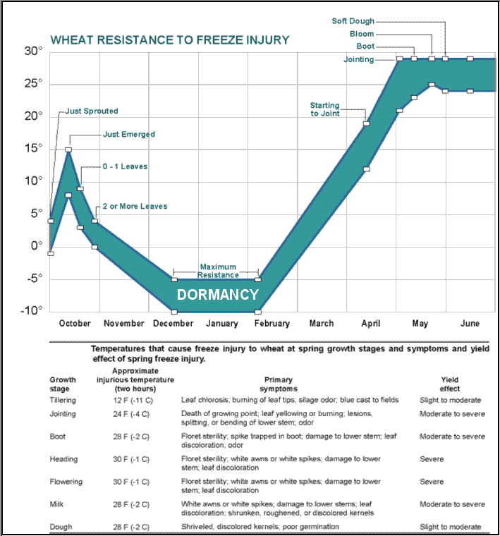 Figure 3.7a